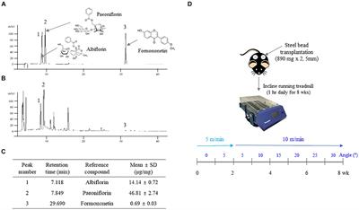 A standardized herbal combination of Astragalus membranaceus and Paeonia japonica promotes skeletal muscle hypertrophy in a treadmill exercise mouse model